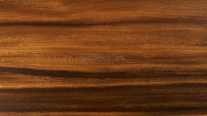 suar wood grain