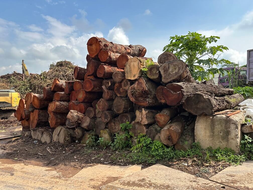 Log Selection Log Selection