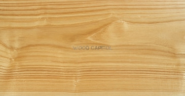 Image Close up of pale ash wood grain with straight light lines