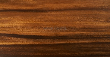 Image Suar wood close up showing warm caramel grain with natural live edge